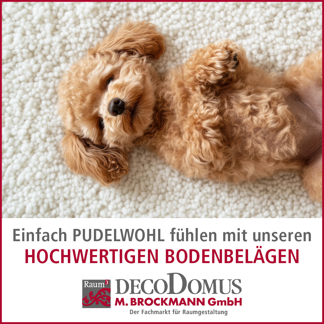 Ein Pudel auf einem hellen Teppichboden. Slogan: Einfach pudelwohlfühlen mit unseren hochwertigen Bodenbelägen