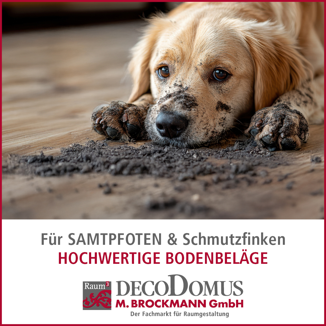 Ein brauner Hund auf einem Holzboden mit der Schnauze und den Pfoten im Dreck. Slogan: Für Samtpfoten & Schmutzfinken: hochwertige Bodenbeläge