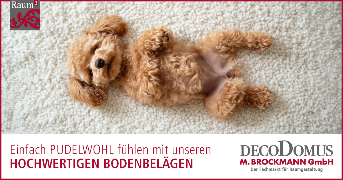 Ein Pudel auf einem hellen Teppichboden. Slogan: Einfach pudelwohlfühlen mit unseren hochwertigen Bodenbelägen