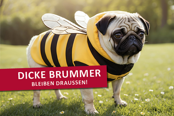 Ein Mops mit einem Bienenmantel. Slogan: dicke Brummer bleiben draußen!